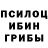 Галлюциногенные грибы Psilocybine cubensis guai