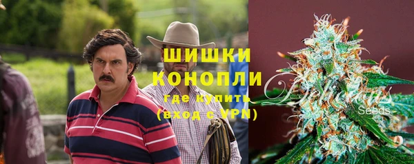 прущая мука Нея